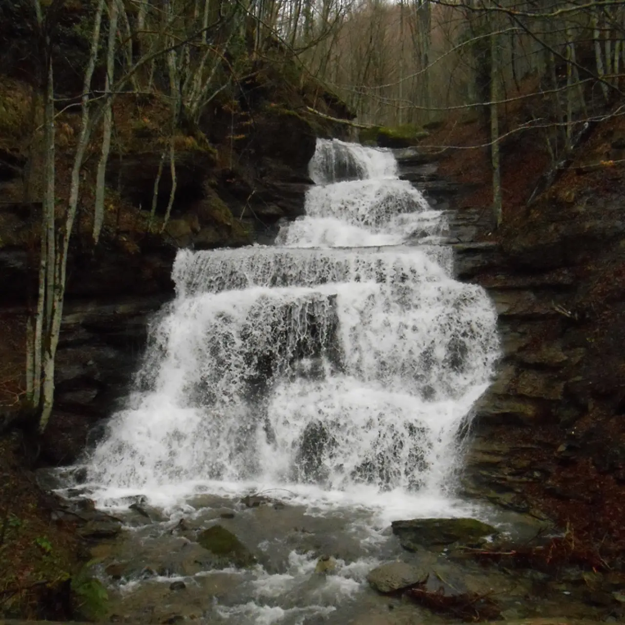 Una delle cascate della Foresta Casentinese presso Badia Prataglia. Foto: E. Zoni