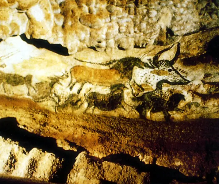 Cavalli e bisonte. Pittura paleolitica III stile. Lascaux (Francia)