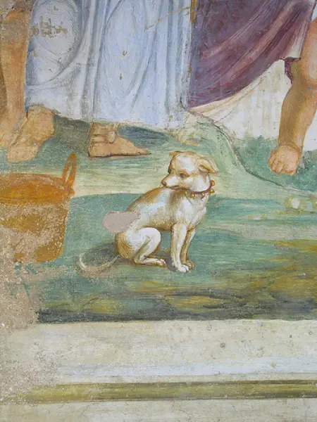 Giovanni Antonio Bazzi detto Sodoma. Moltiplicazione dei pani e dei pesci Dett. 1503-04. Affresco. Monastero di sant'Anna in  Camprena.