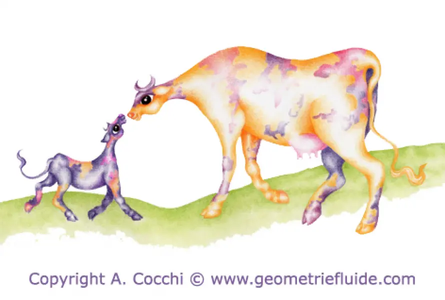 A. Cocchi. Mucca e vitello. Illustrazione jpg tratta d originale a pastelli