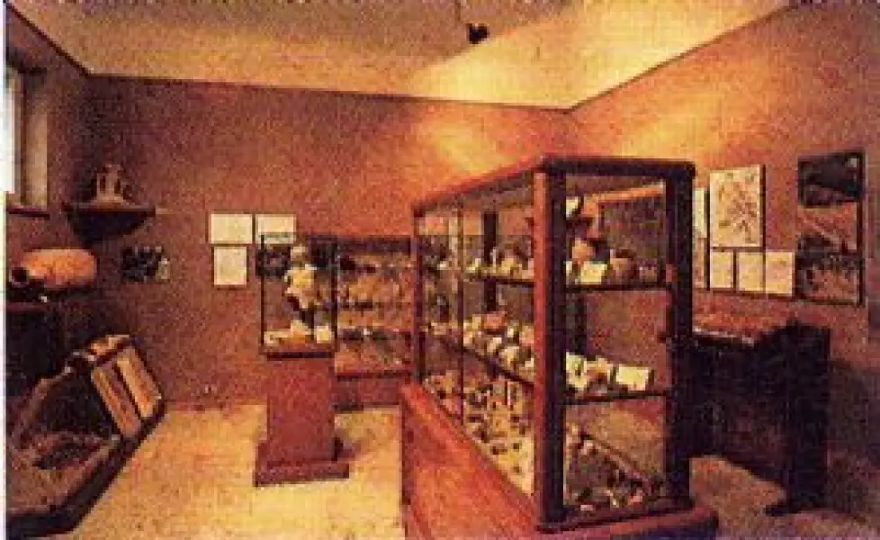 L'Antiquarium di Cesenatico nella sua prima sede presso la Biblioteca Comunale.