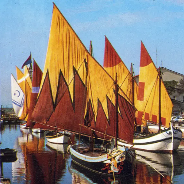 Alcune imbarcazioni della Sezione galleggiante del Museo della Marineria di Cesenatico.