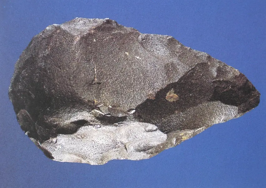 Amigdala bifacciale del Paleolitico rinvenuta presso Forlì