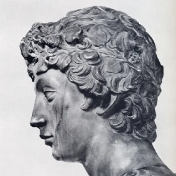 <p>Donatello. David. Dett. della testa di profilo. 1408-16. Marmo. cm. 191X57,5 alla base. Firenze, Museo Nazionale del Bargello.</p>