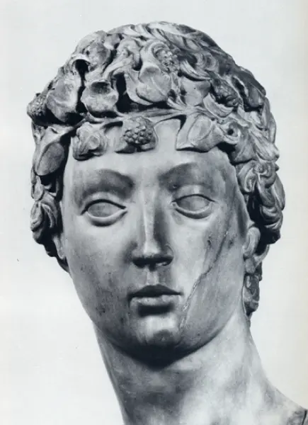 <p>Donatello. David. Dett. della testa. 1408-16. Marmo. cm. 191X57,5 alla base. Firenze, Museo Nazionale del Bargello.</p>