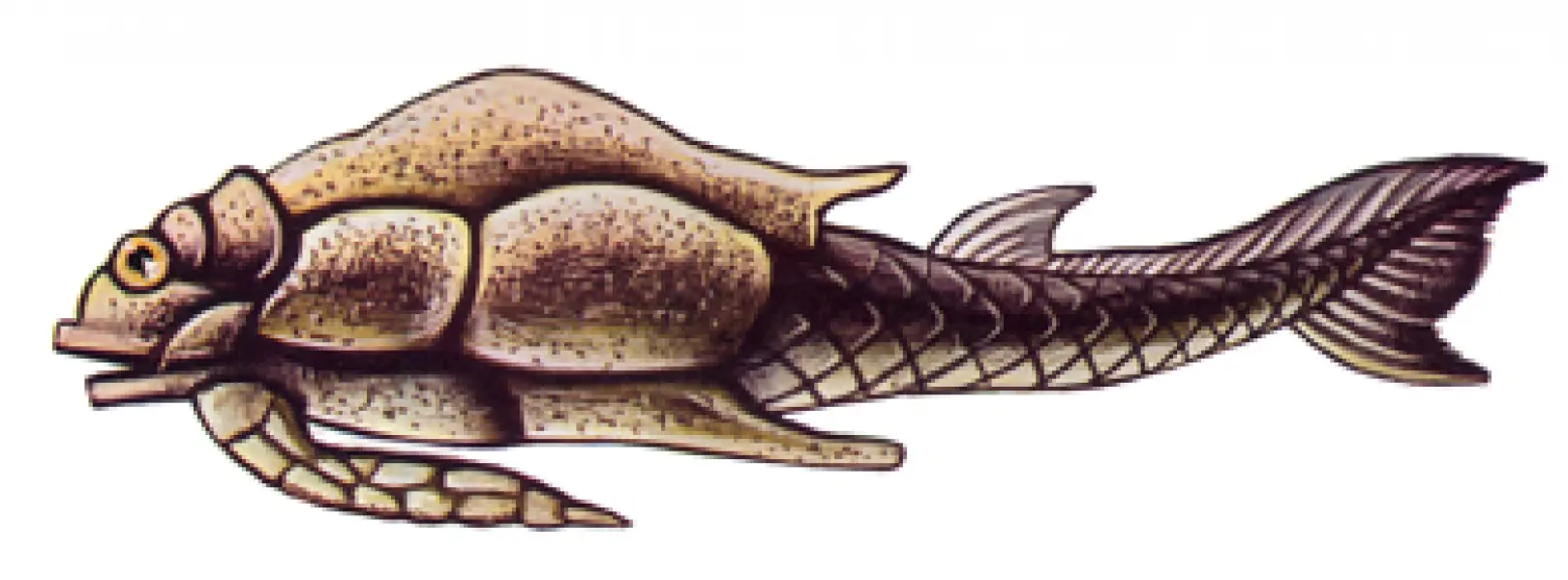 <p>Esempio di Ostracoderma. Fonte: M. La Greca, R. Tomaselli. La natura questa sconosciuta. Vol.3. Istituto Grografico De Agostini. Novara 1968</p>