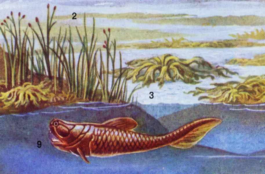 <p>Disegno ricostruttivo di Dinitchys. Fonre: <em>Enciclopedia Universo.</em> <em>Istituto Geografico De Agostini, Novara.</em><em> 1971.</em></p>