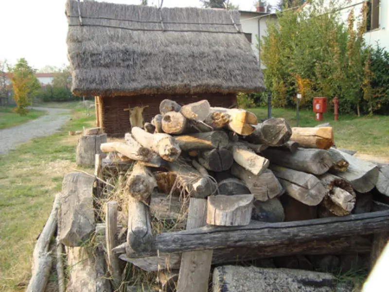 Deposito di legna presso una capanna. Età del bronzo (Ricostruzione) Montale.