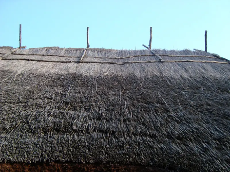 Particolare del tetto di una terramara. Età del bronzo (Ricostruzione) Montale.