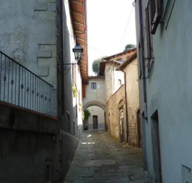 <p>Partina. Veduta dell'antico borgo. Foto di A. Cocchi</p>