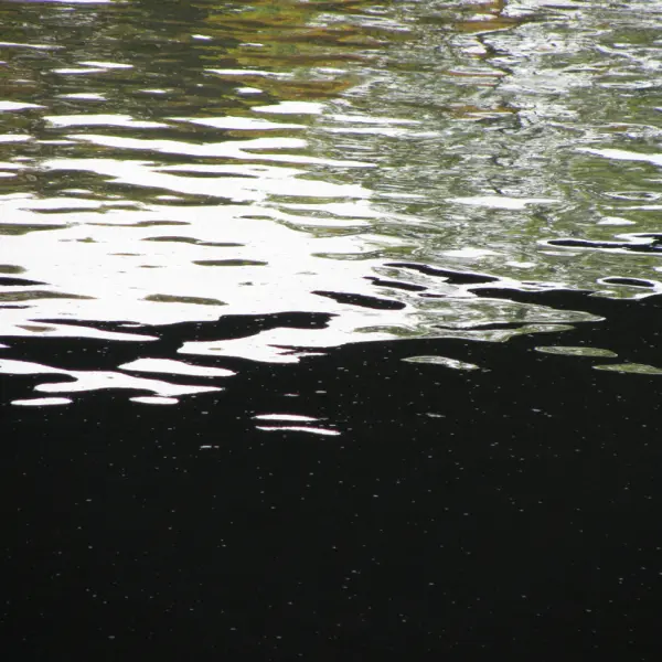 <p>Elisabetta Ricca Rosellini. Vltava Waves. Dett. 2009. Fotografia a colori. E. Ricca Rosellini © Copyright. Collezione privata</p>