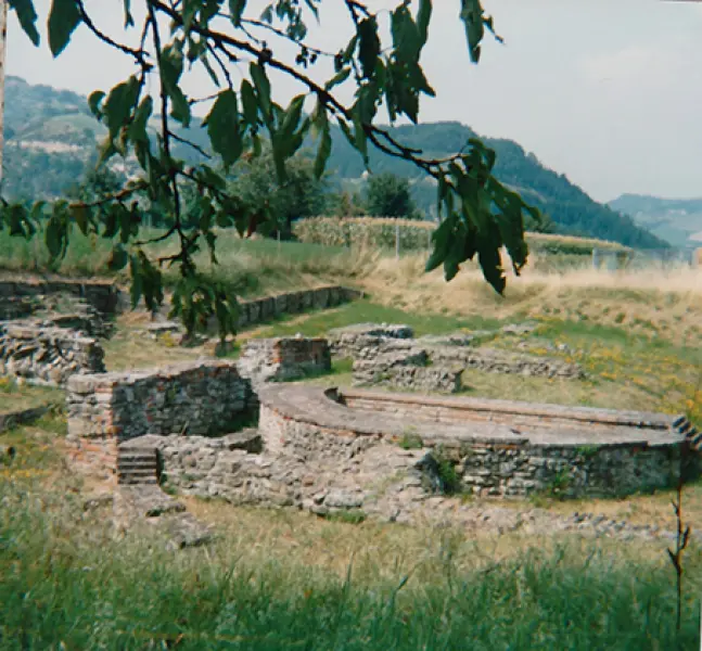 <p>Veduta dei resti delle Terme di Mevaniola. (Foto: A. Cocchi)</p>