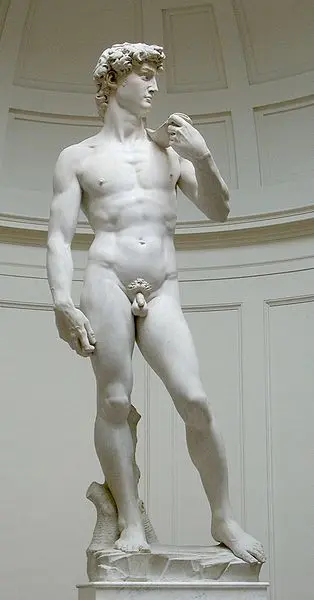 <p>Michelangelo. David. 1501-04. Marmo. h.ca 400 cm. Firenze Galleria dell'Accademia.</p>
